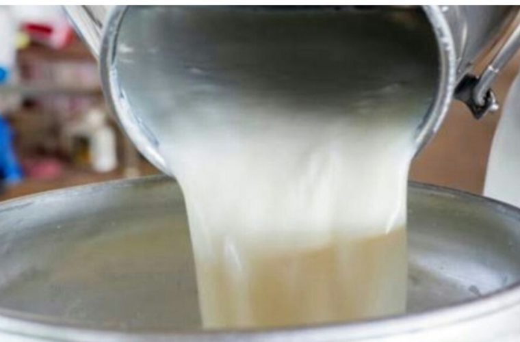 خروج ۴ تن شیر غیربهداشتی از چرخه مصرف انسانی در شهرستان خمینی شهر خروج ۴ تن شیر غیربهداشتی از چرخه مصرف انسانی در شهرستان خمینی شهر