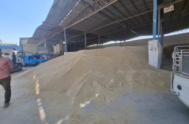 علت افزایش قیمت نهاده های دامی و دانه مرغی در رصد گشت های مشترک تعزیرات حکومتی اصفهان قرار گرفت.