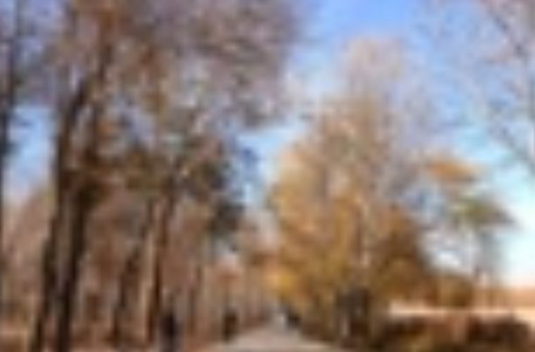 احیای مادیها و کلکتورهای آبرسانی؛ زیرساخت محلات ناژوان تقویت شد احیای مادیها و کلکتورهای آبرسانی؛ زیرساخت محلات ناژوان تقویت شد