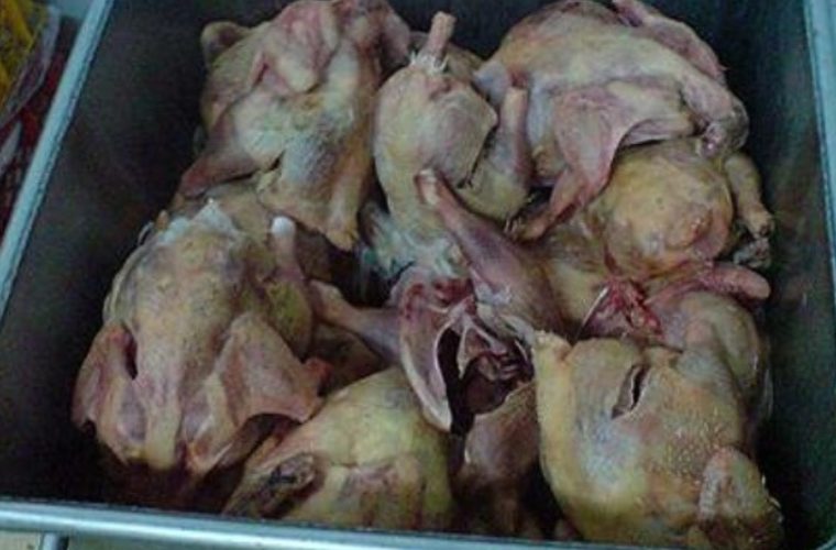 ۷۰ کیلو مرغ تاریخ گذشته در شهرضا ۷۰ کیلو مرغ تاریخ گذشته در شهرضا