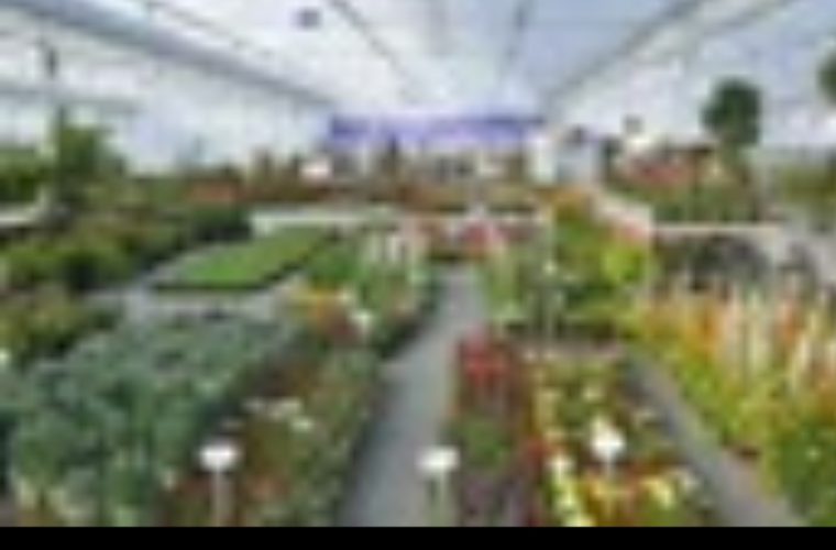 باغ ریحان جایگزین بازار همدانیان شد؛ تمرکز بر محصولات سالم و ارگانیک باغ ریحان جایگزین بازار همدانیان شد؛ تمرکز بر محصولات سالم و ارگانیک