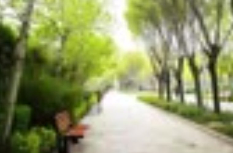 فق ۱۴۱۰ فضای سبز اصفهان ترسیم شد؛ تمرکز بر پایداری محیط زیست و هوشمندسازی فق ۱۴۱۰ فضای سبز اصفهان ترسیم شد؛ تمرکز بر پایداری محیط زیست و هوشمندسازی