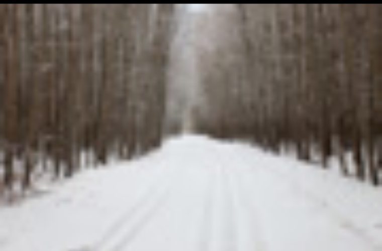 ساعات فعالیت مراکز گردشگری ناژوان در فصل سرد سال مشخص شد ساعات فعالیت مراکز گردشگری ناژوان در فصل سرد سال مشخص شد