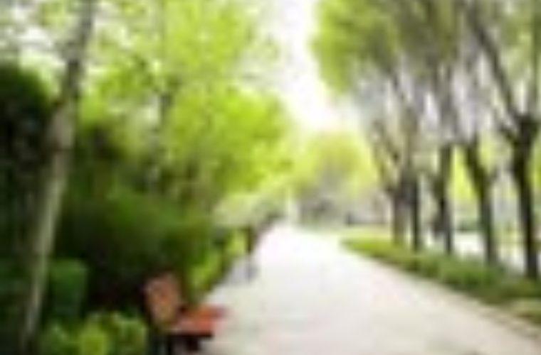 فضای سبز اصفهان با رویکرد ۱۴۱۰ بازطراحی میشود؛ تمرکز بر کاهش مصرف آب و احیای زیستبوم شهری فضای سبز اصفهان با رویکرد ۱۴۱۰ بازطراحی میشود؛ تمرکز بر کاهش مصرف آب و احیای زیستبوم شهری