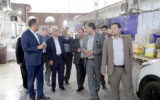 خواسته های تعاون روستایی اهواز از معاون وزیر جهاد کشاورزی چه بود خواسته های تعاون روستایی اهواز از معاون وزیر جهاد کشاورزی چه بود